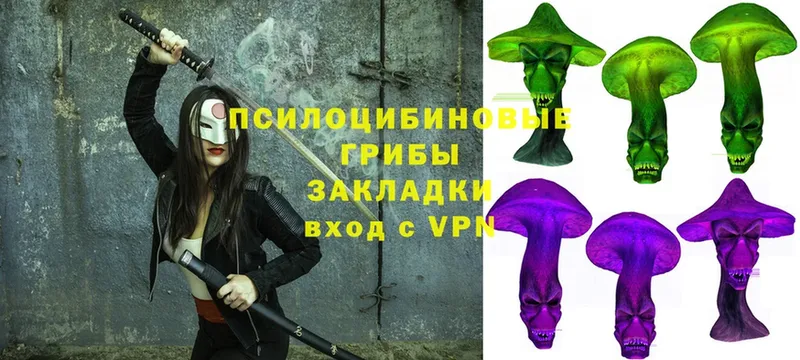 где можно купить   kraken маркетплейс  Галлюциногенные грибы Psilocybine cubensis  Михайловск 